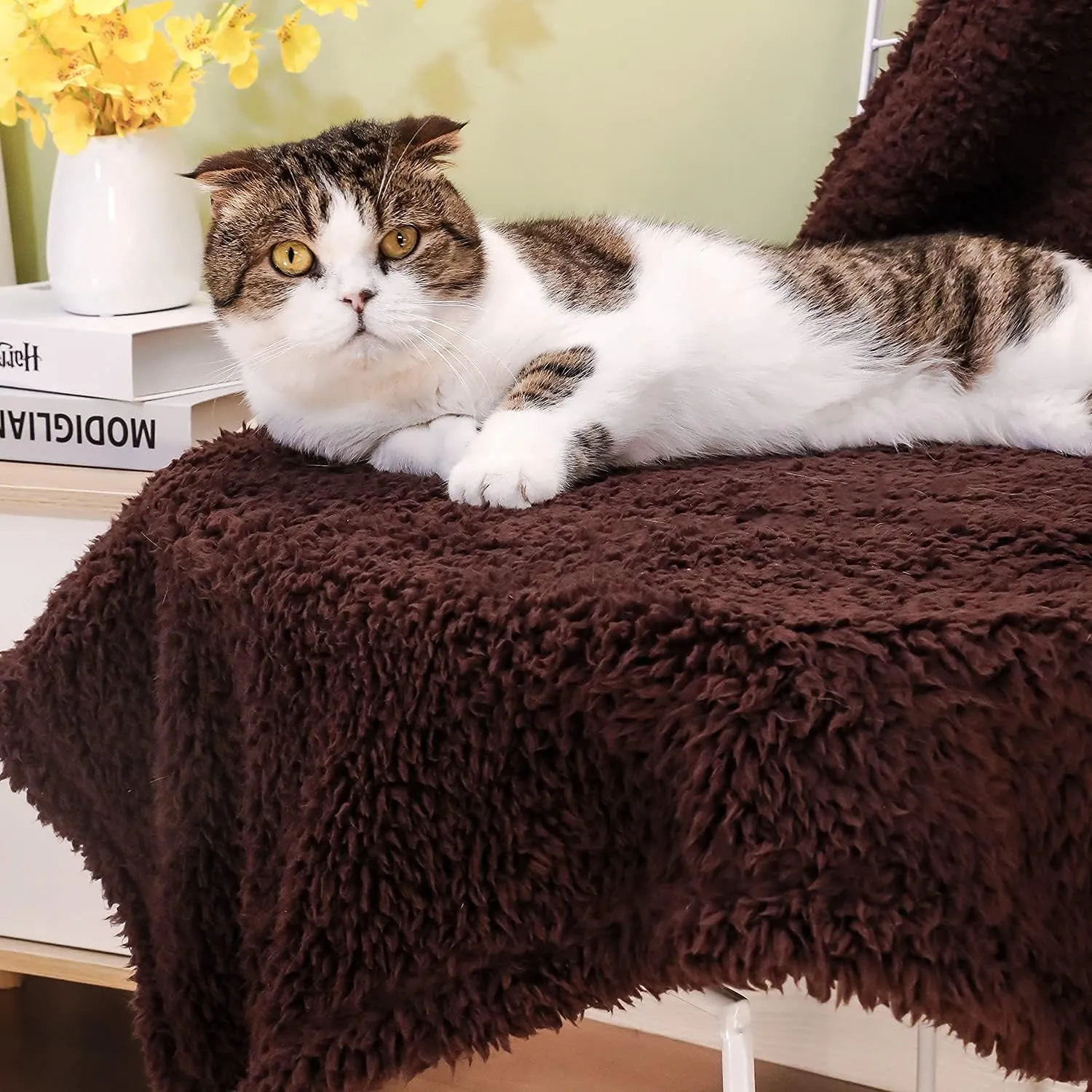 2 Pack Dog Blanket for Medium Size Dogs Cats Soft Sherpa Fleece Pet Blanket Throw for Sofa, Couch Thick Durable Pet Bed Cover, Floor Mat(Medium (3240"), Coffee Blanket)