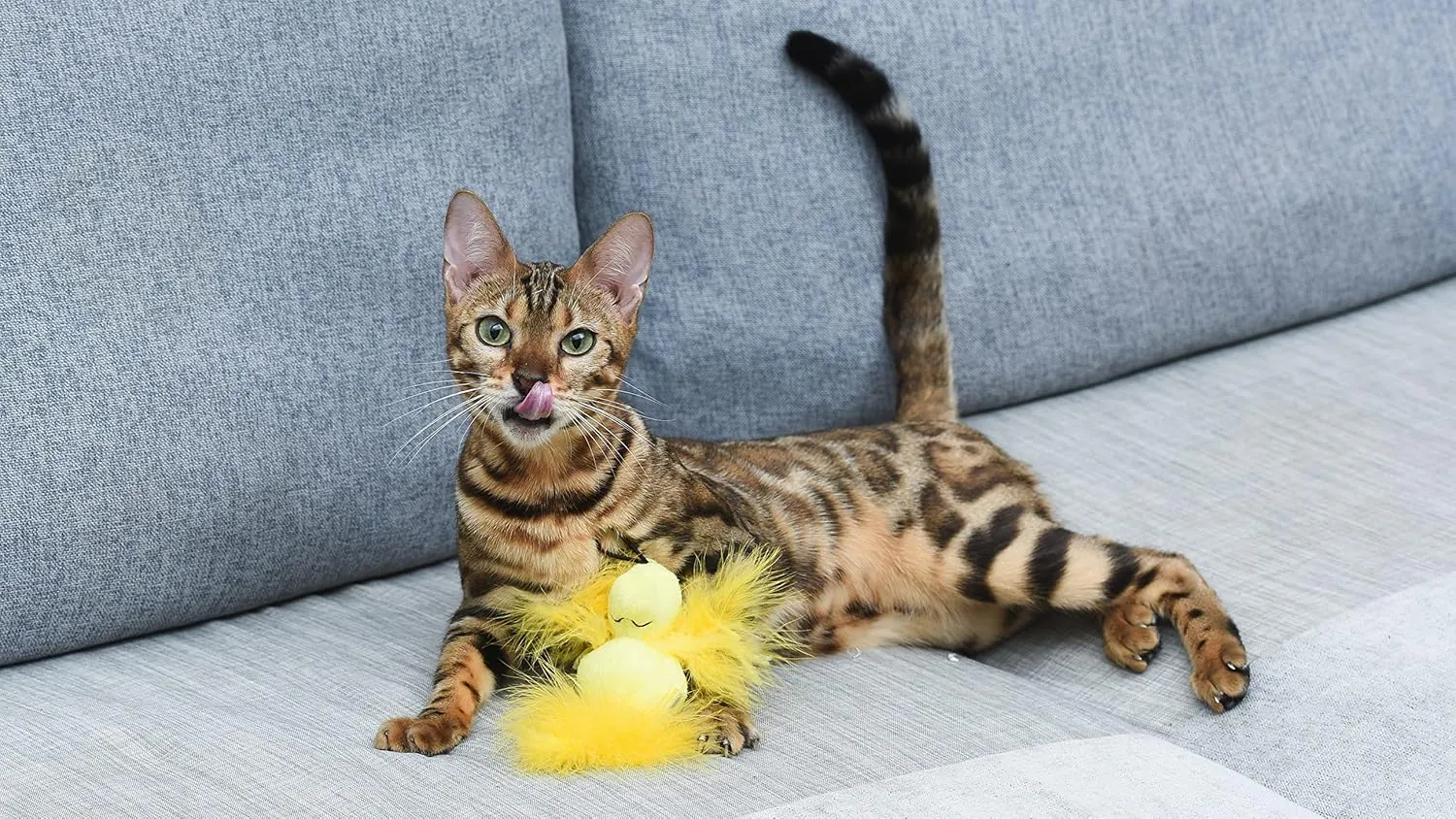 4 Woodstock Catnip Stuffed Plush Cat Toy with Feathers and Elastic Loop for Interactive Play | Peanuts for Pets | Interactive Toy for Cats | Cat Exercise Toy FF19706