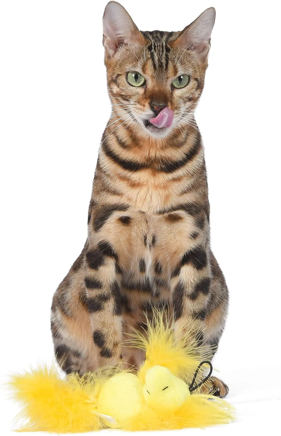 4 Woodstock Catnip Stuffed Plush Cat Toy with Feathers and Elastic Loop for Interactive Play | Peanuts for Pets | Interactive Toy for Cats | Cat Exercise Toy FF19706