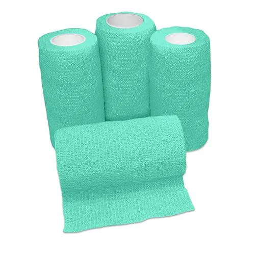 Bainbridge Flexible Bandage