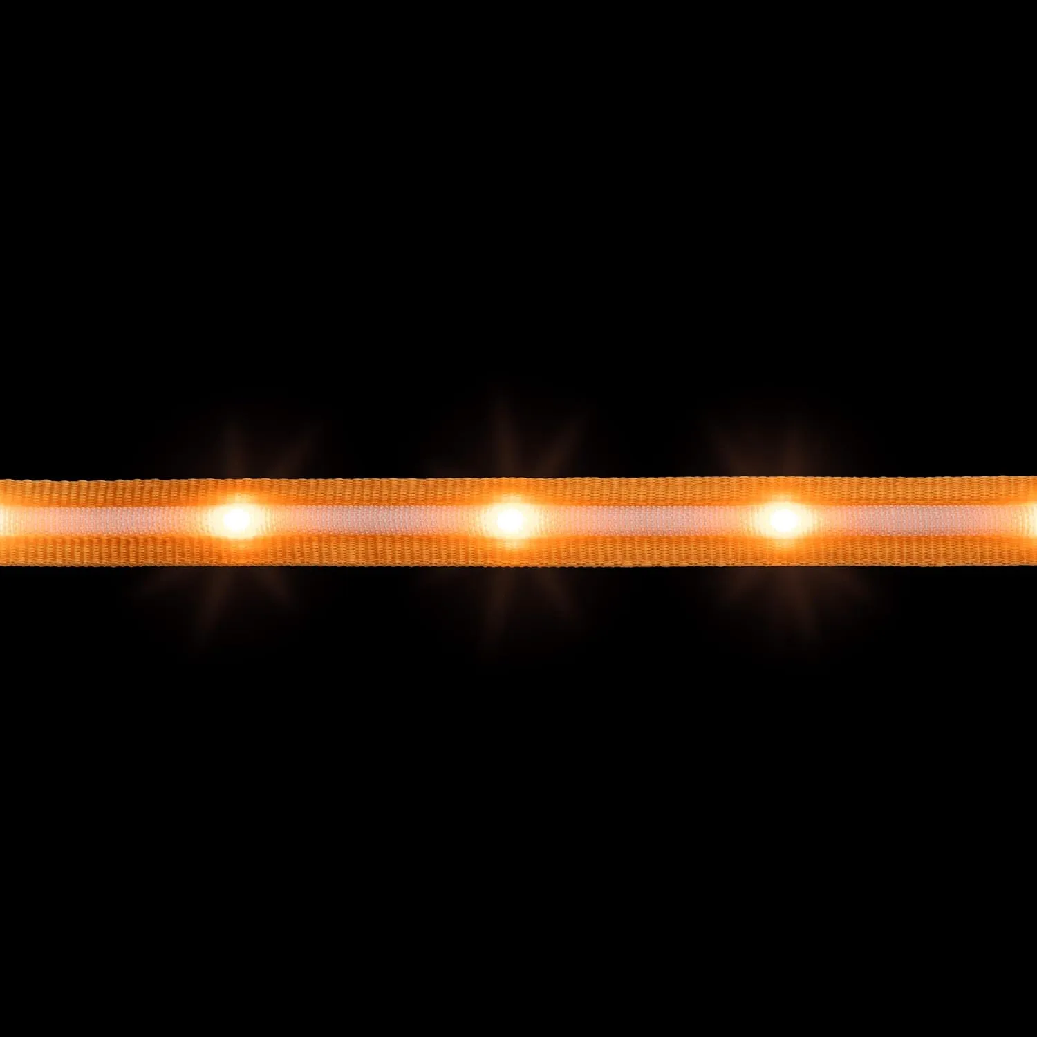 Blazin Light Up LED Dog Leash - 1,000 Feet Visibility - USB Rechargeable, Waterproof, Glow in Dark - 4 Foot, Orange