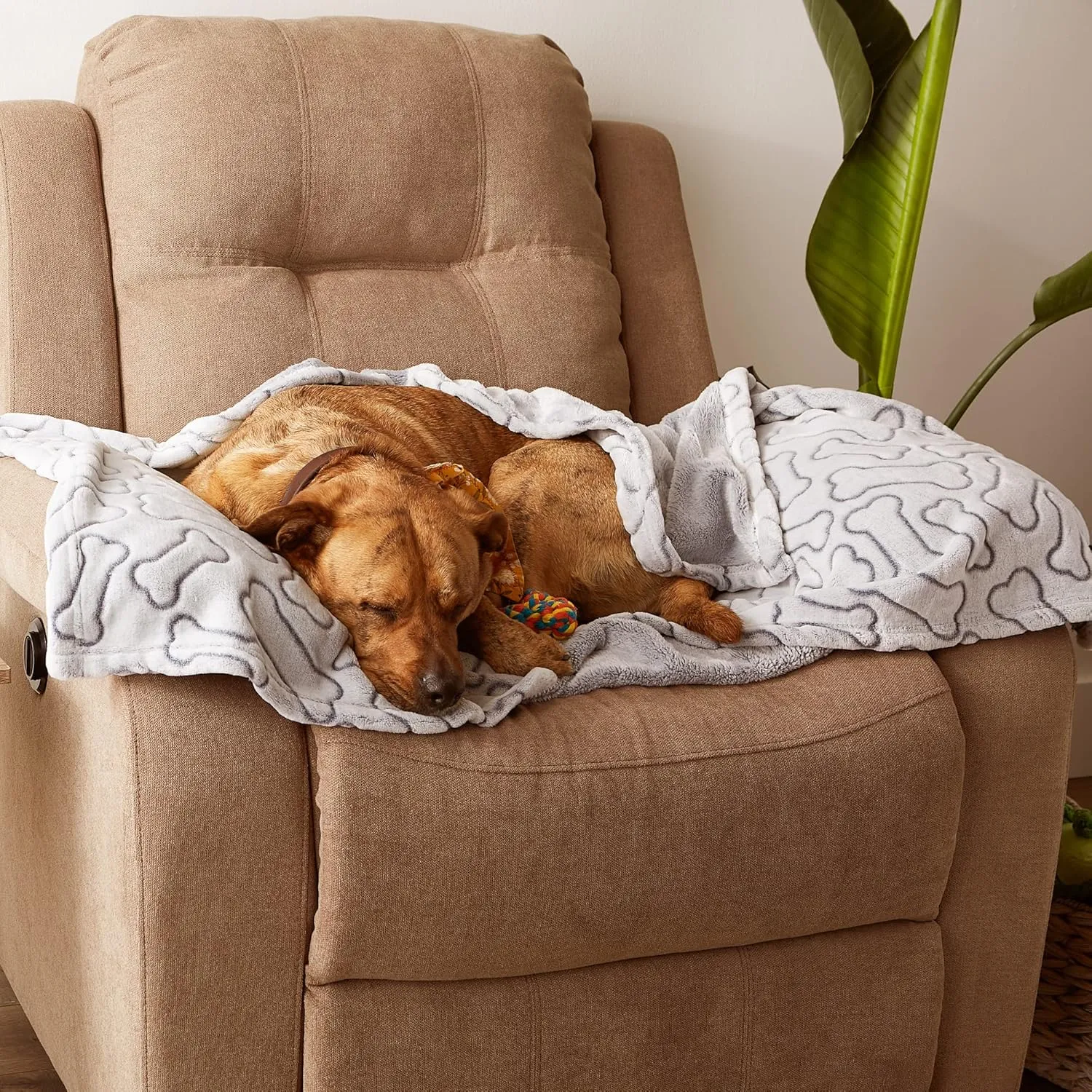 Bone Dry Embossed Bone Print Pet Blanket, 36x48", Taupe