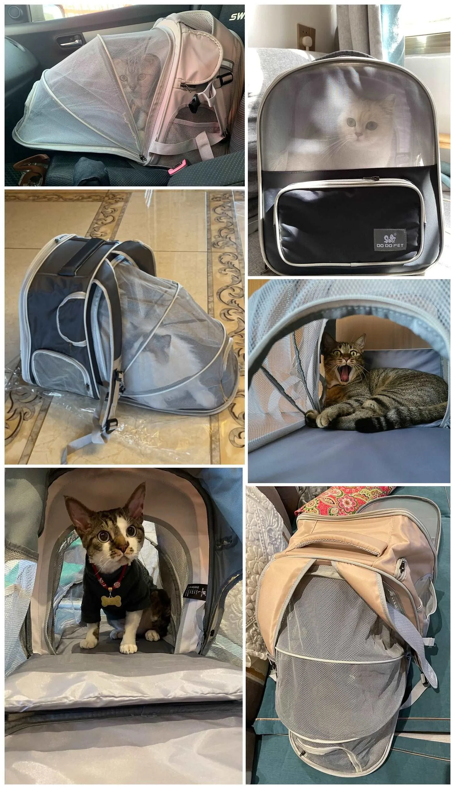 Carrier Mesh Backpack Bag for Small Dog & Cats