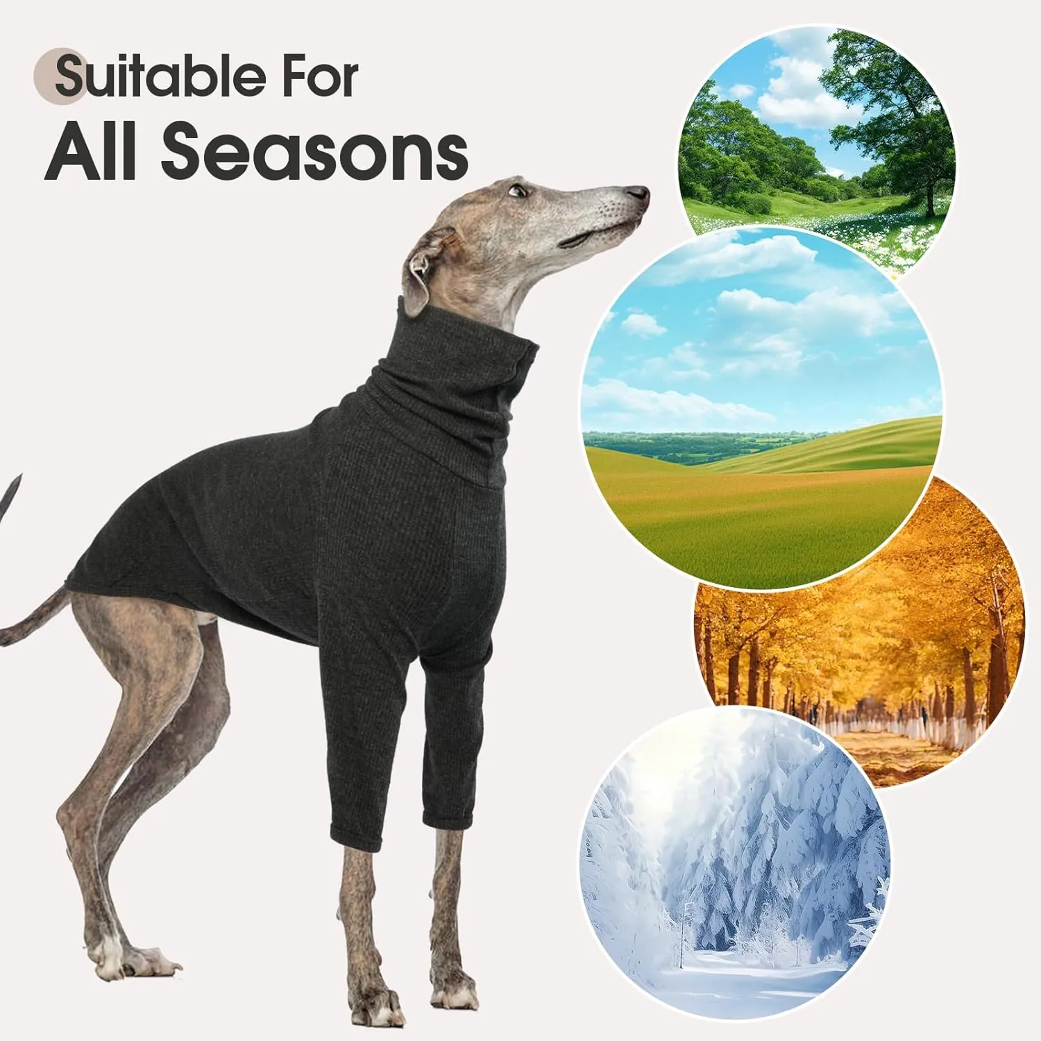 DENTRUN Italian Greyhounds Sweater, Greyhounds Turtleneck Knit Sweatshirt for Cold Weather, Warm Pajamas for Whippets, Winter Long Sleeve Dog Sweater Shirt for Large Dog