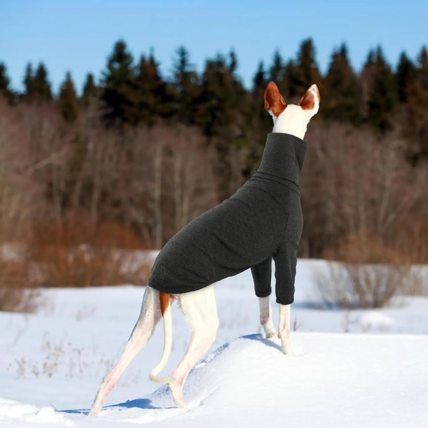 DENTRUN Italian Greyhounds Sweater, Greyhounds Turtleneck Knit Sweatshirt for Cold Weather, Warm Pajamas for Whippets, Winter Long Sleeve Dog Sweater Shirt for Large Dog