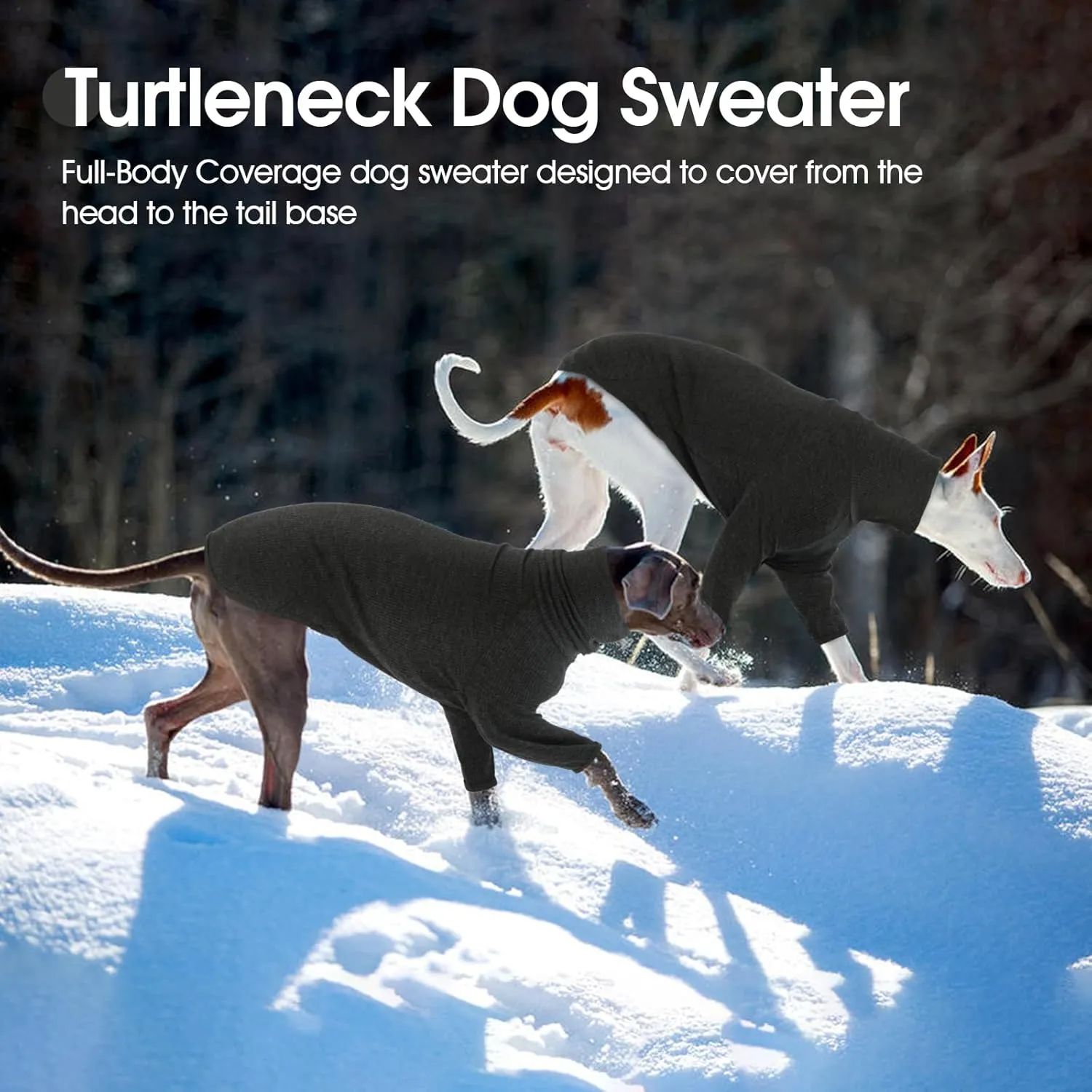 DENTRUN Italian Greyhounds Sweater, Greyhounds Turtleneck Knit Sweatshirt for Cold Weather, Warm Pajamas for Whippets, Winter Long Sleeve Dog Sweater Shirt for Large Dog