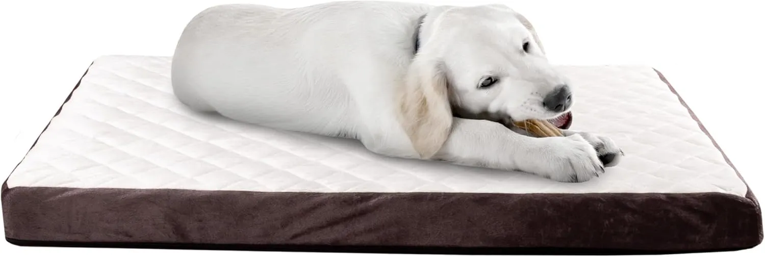 Dog Bed - Charcoal Infused Foam Pet Bed with Plush Cover - Egg-Crate Style Floor Mat with Nonslip Base for Dogs up to 65lbs by PETMAKER (Brown)