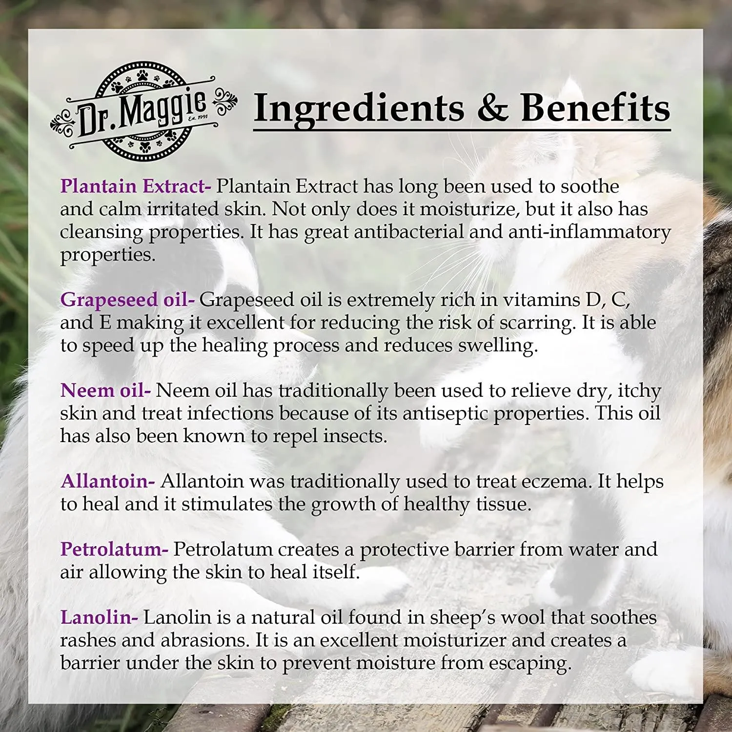 Dr. Maggie Skin Care Ointment for Dogs and Cats