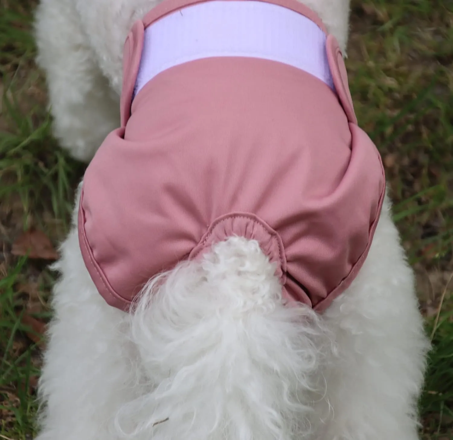 Female Dog Diapers for Medium Dogs,4 Pack Reusable Washable Premium Doggie Diapers for Heat,Incontinence,Period Doggy Nappies,M