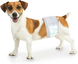 Four Paws Wee-Wee Super Absorbent Disposable Adjustable Dog Potty Training Male Wraps Diapers, Leak-Proof Protection for Puppies and Small Dogs, Extra Small, 12 Count