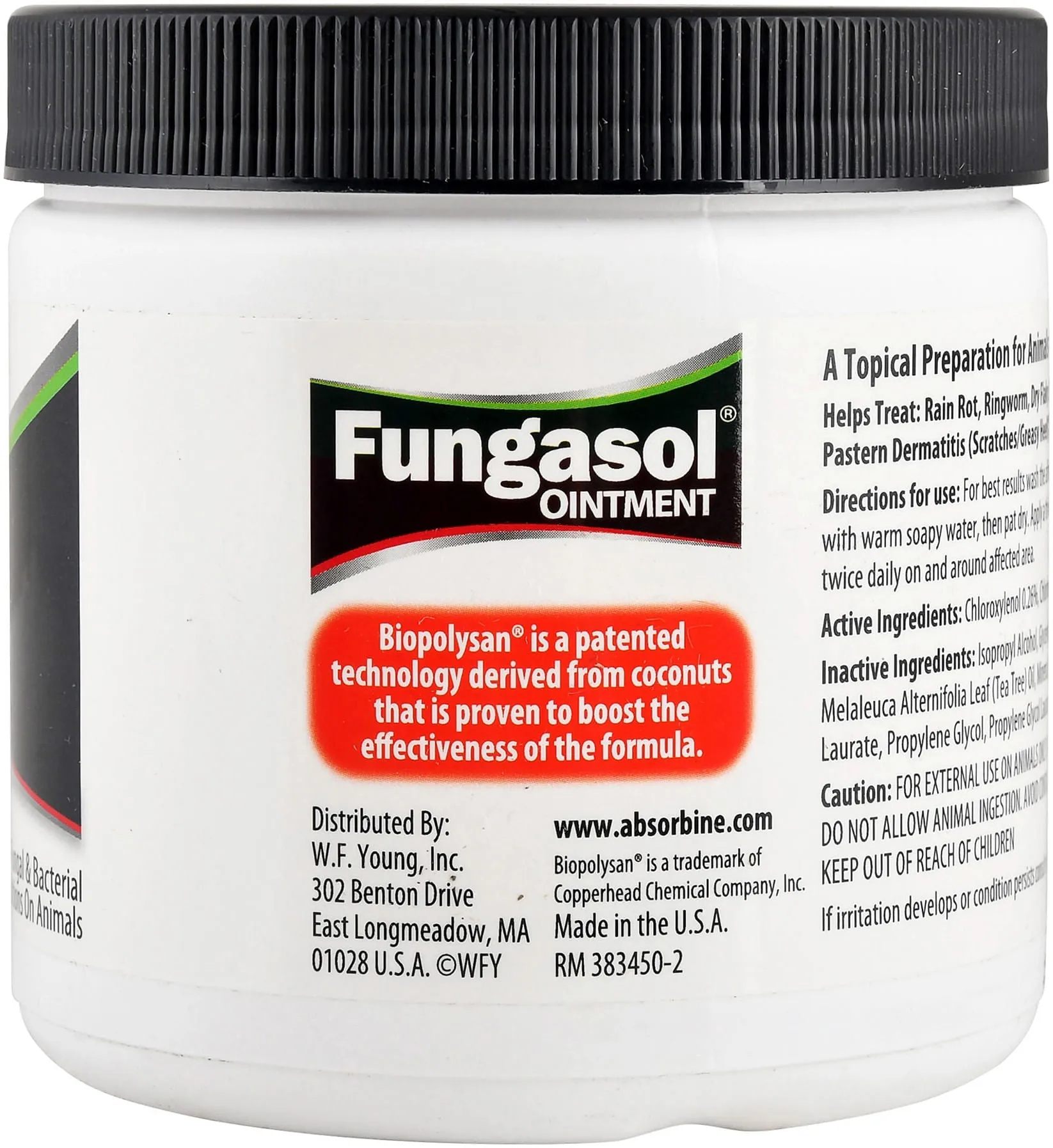 Fungasol Ointment, 13 oz