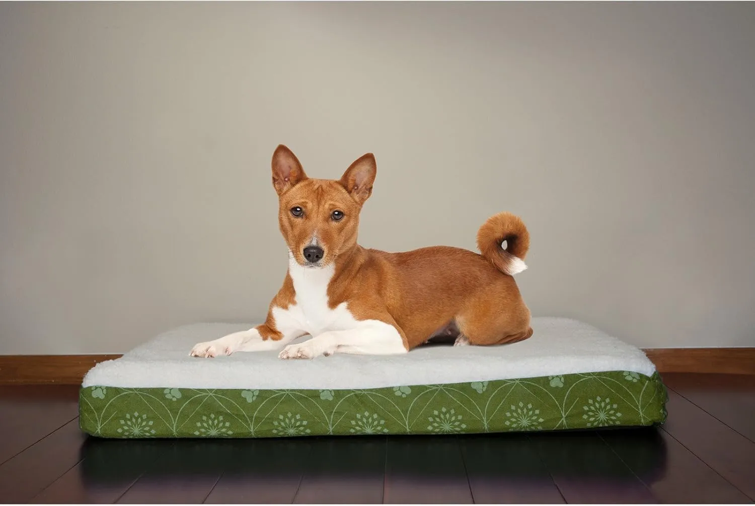 Furhaven Memory Foam Dog Bed for Small Dogs w/ Removable Washable Cover, For Dogs Up to 20 lbs - Sherpa & Flannel Paw Print Deluxe Mattress - Jade Green, Small