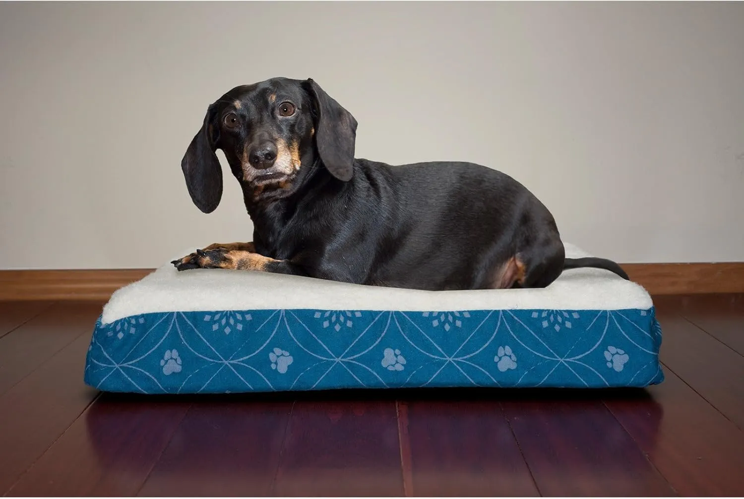 Furhaven Memory Foam Dog Bed for Small Dogs w/ Removable Washable Cover, For Dogs Up to 20 lbs - Sherpa & Flannel Paw Print Deluxe Mattress - Jade Green, Small