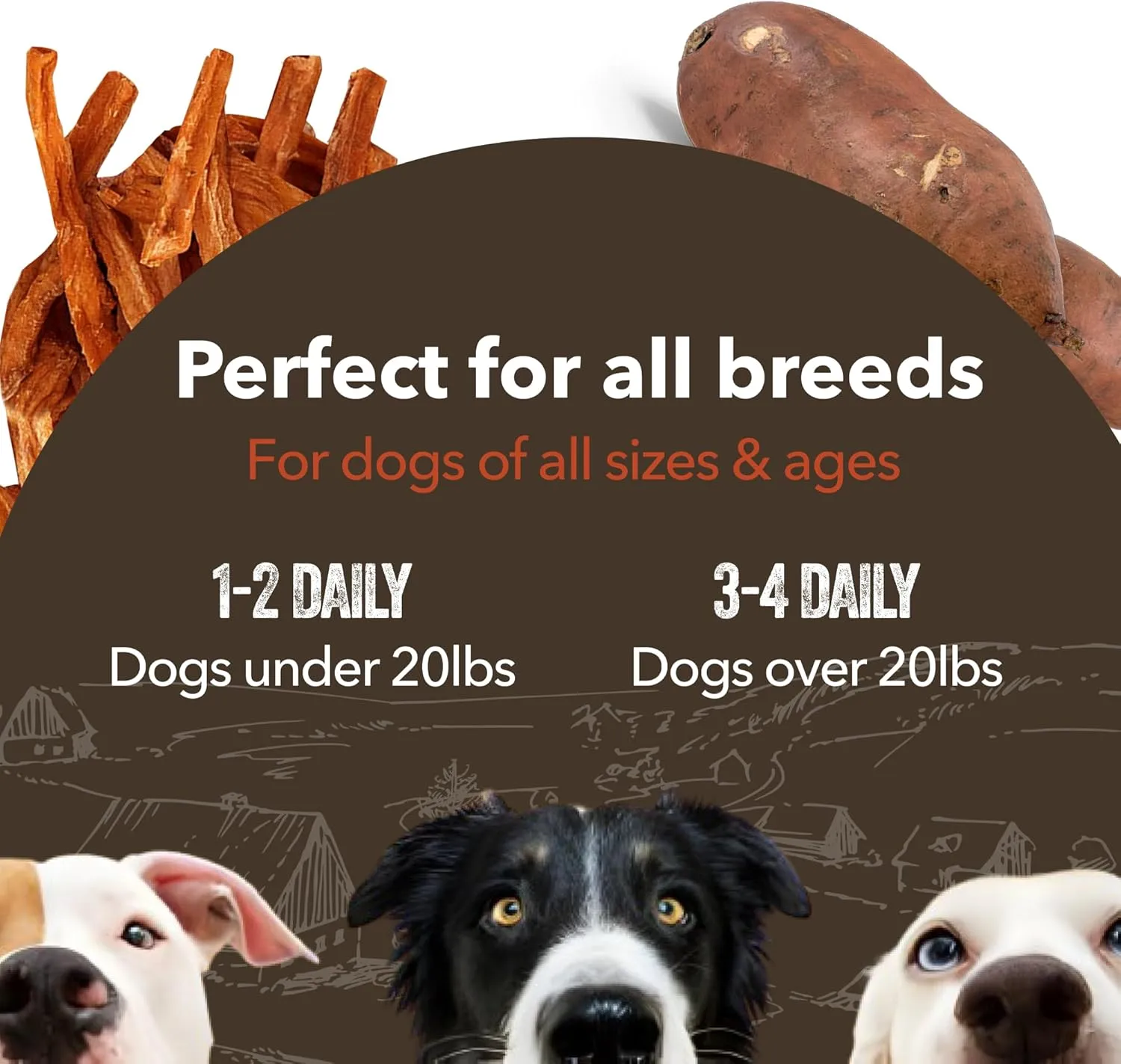 Gaines Family Farmstead Sweet Potato Fries for Dogs  14 oz, Grain-Free, Single Ingredient Dog Treats, Crispy Rawhide-Free Chews, High-Fiber Snacks for Training, Made in USA
