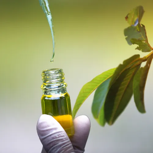 Guava Leaf- Liquid Herbal Extract