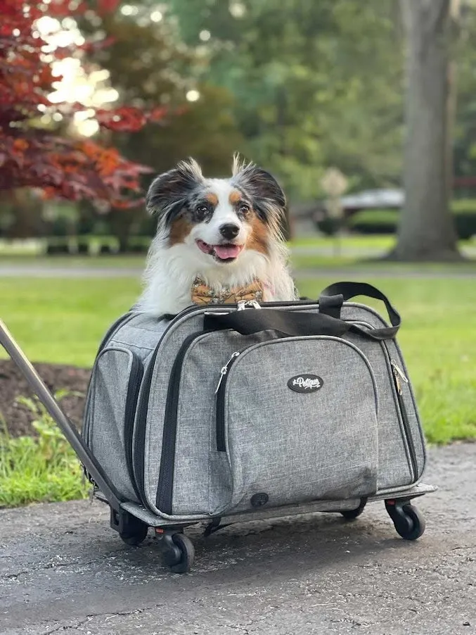 Happy Camper Expandable Pet Carrier: 4x Room, Durable Mesh, 360° Wheels, Faux-Sherpa Mat, Airline Approved, 3 Carrying Options, Zipper Doors, Removable Wheels & Base, Folds Flat for Travel for Dogs, Cats, Small Animals, Supports up to 15 LBS