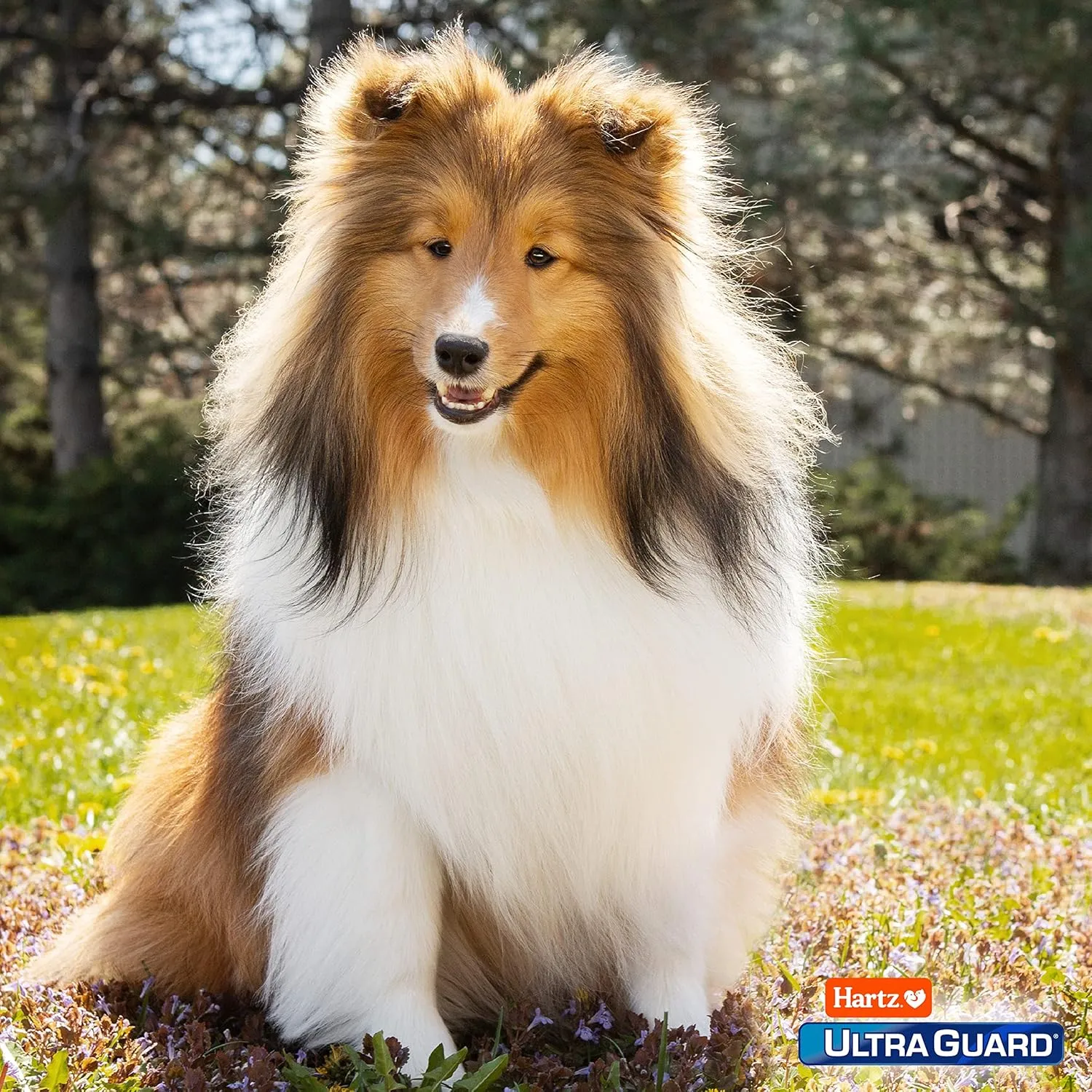 Hartz UltraGuard Dual Action Topical Flea & Tick Treatment for Dogs and Puppies - 15-30lbs, 3 Monthly Treatments