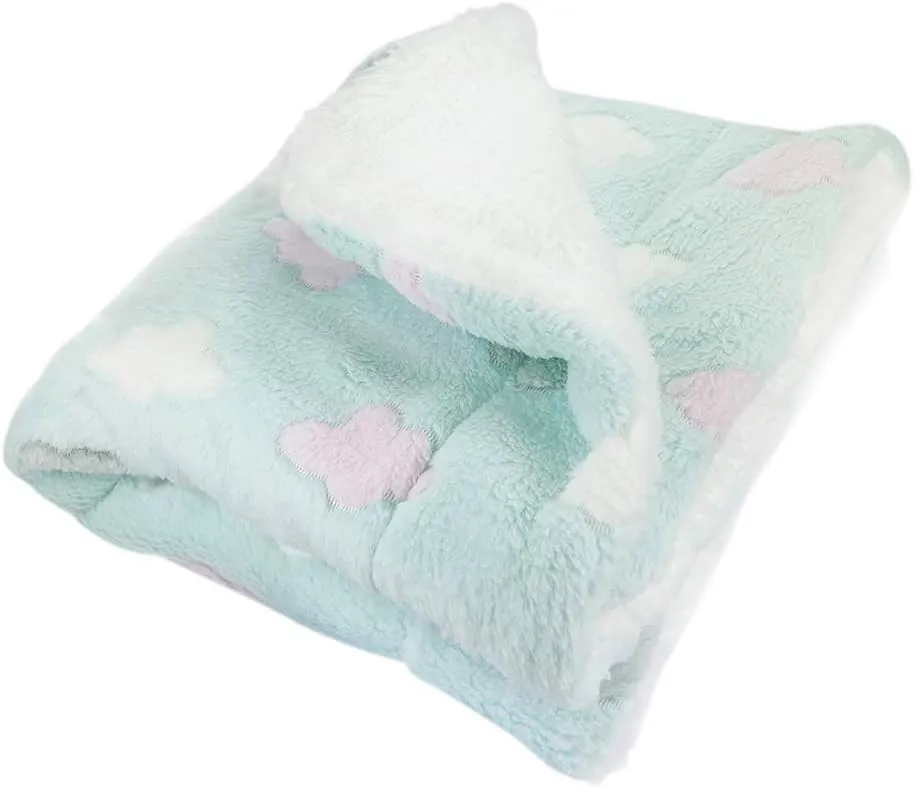 KLIPPO Double Layered Ultra Plush Dog/Puppy Blanket/Mat/Padding/Cover/Throw/Spread (Large, Fluffy Clouds)
