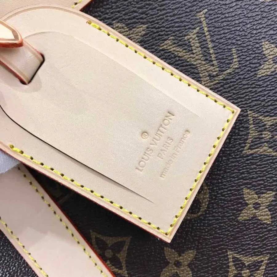 Louis Vuitton Dog Carrier Bag 50