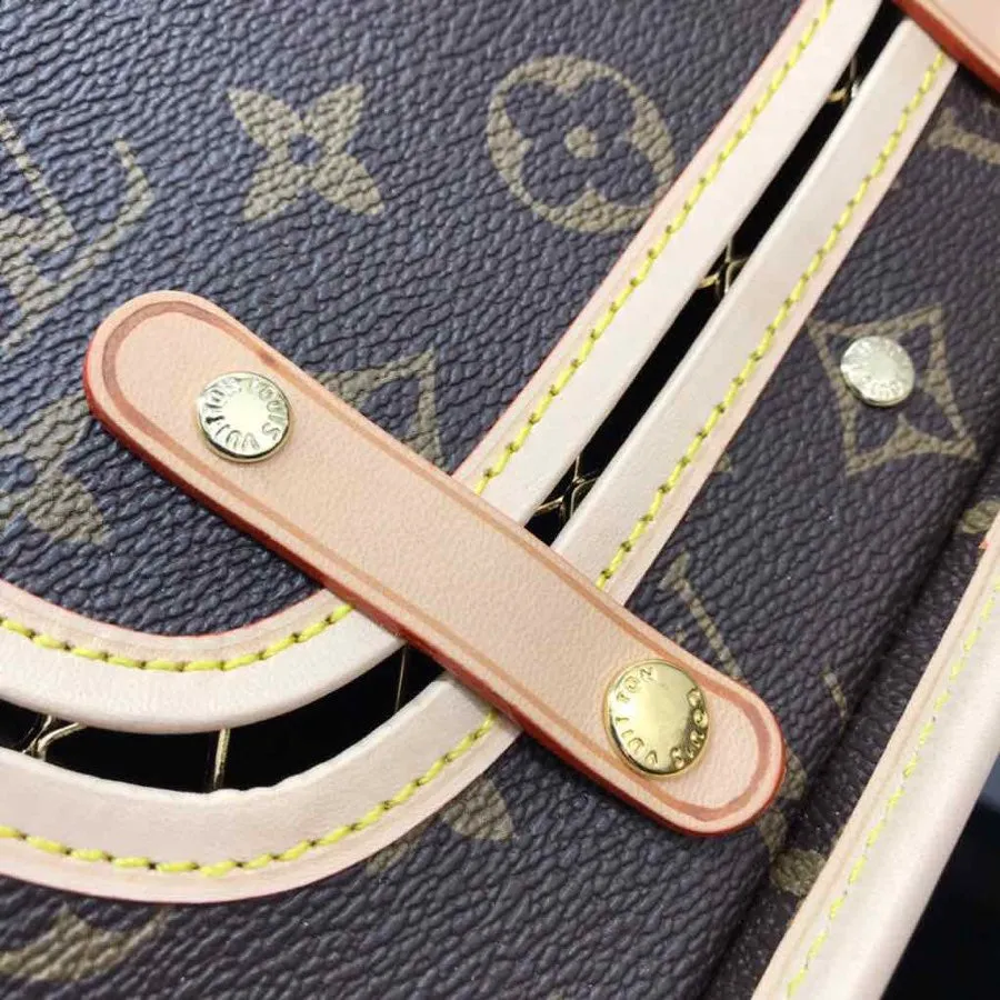 Louis Vuitton Dog Carrier Bag 50