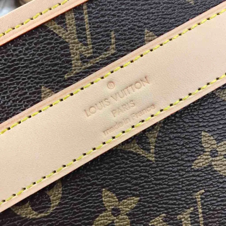 Louis Vuitton Dog Carrier Bag 50