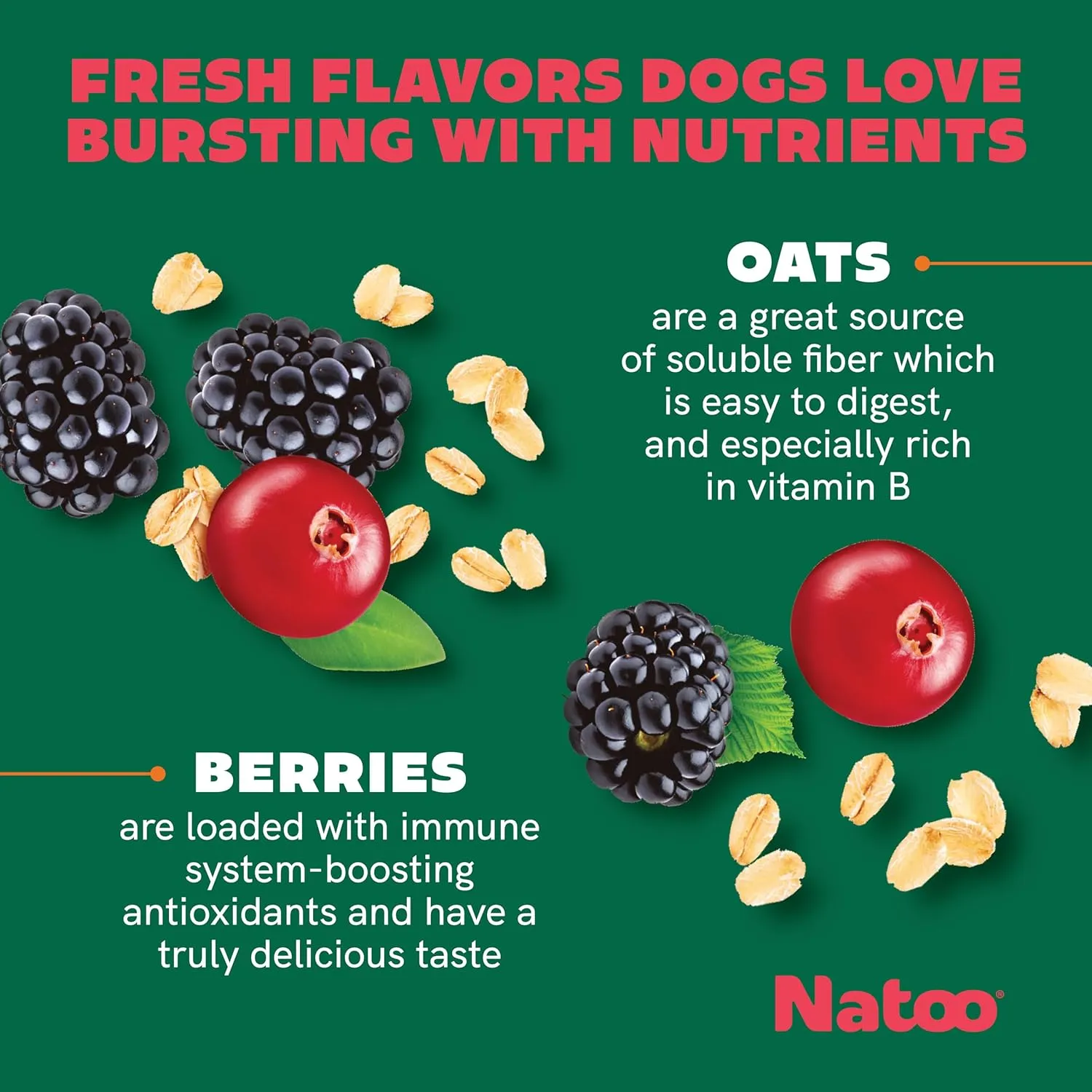 NATOO Biscuits for Small Dogs & Puppies Crunchy Dog Treats, Oats & Berry Healthy Natural Canine Biscuits, Rich in Omega 6, Prebiotics & Fibers, Antioxidants for Immunity (8 oz)