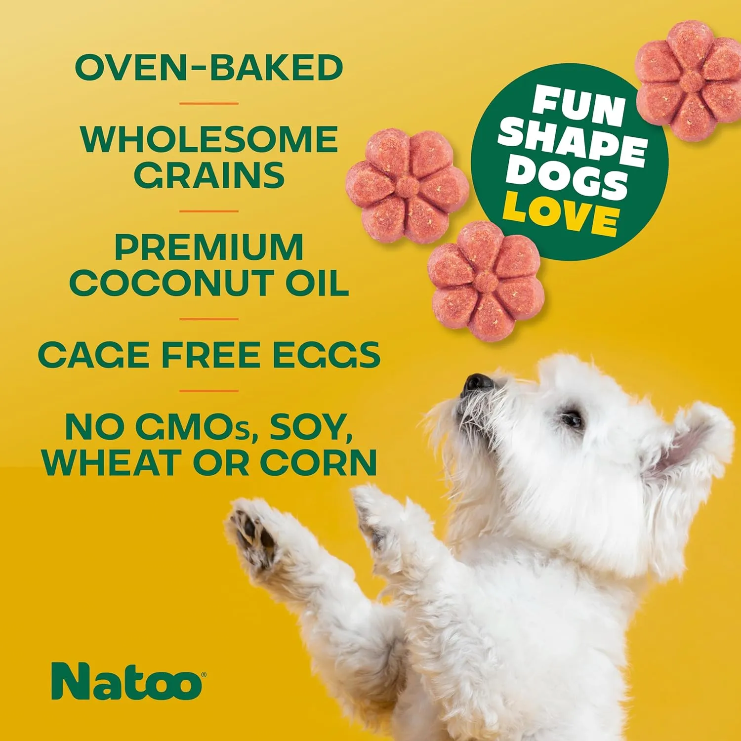 NATOO Biscuits for Small Dogs & Puppies Crunchy Dog Treats, Oats & Berry Healthy Natural Canine Biscuits, Rich in Omega 6, Prebiotics & Fibers, Antioxidants for Immunity (8 oz)