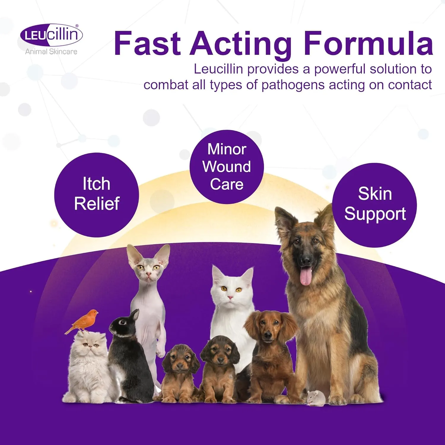 Natural Antiseptic Spray for Dogs, Soothes Itchy Skin and Promotes Healing, Effective Treatment for Dogs, Wound and Skin Care Solution for Pets, First Aid Kit Essential - 150ml
