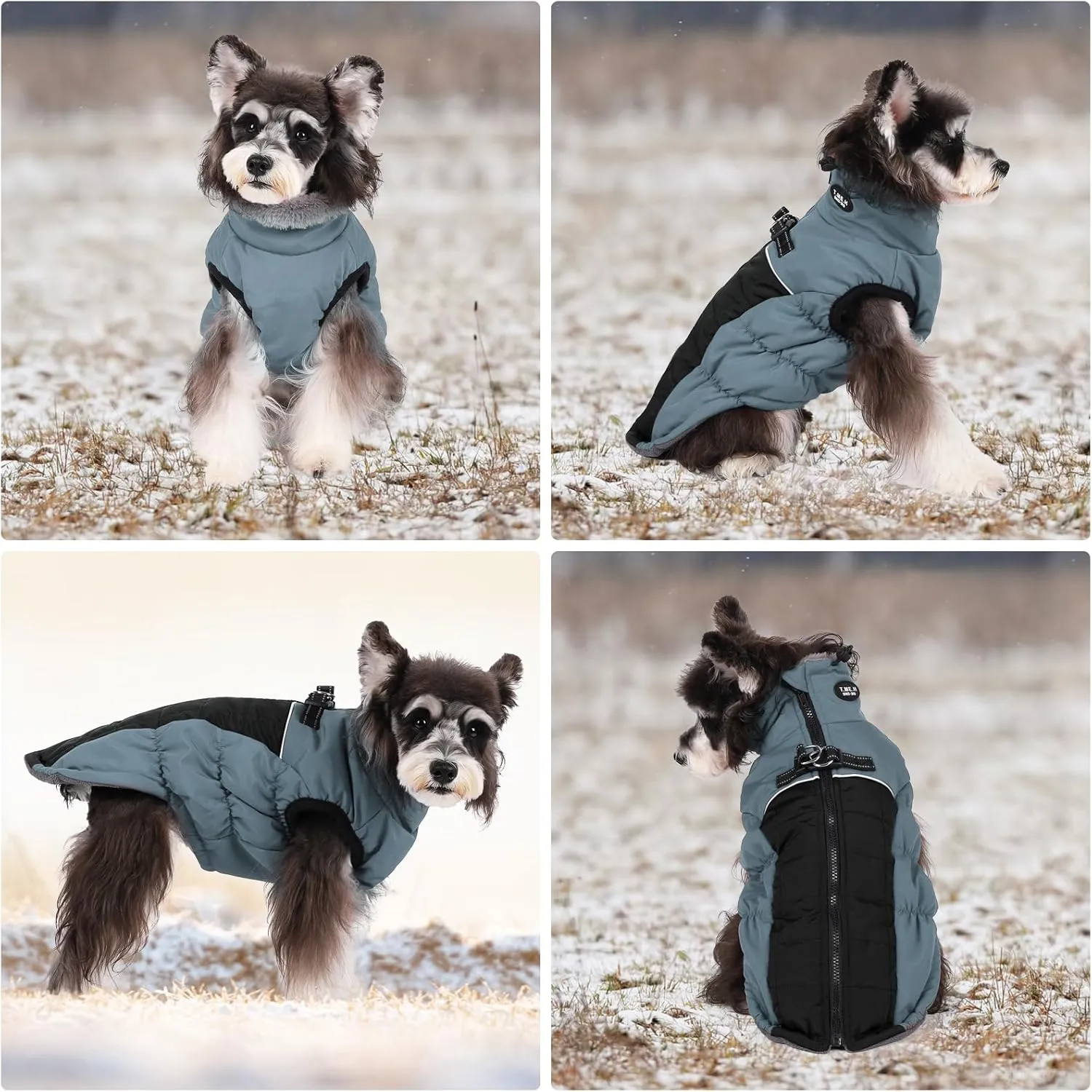Norbi Winter Coat, Warm Reflective Waterproof Turtleneck Cozy Dog Jacket (Large, Blue)