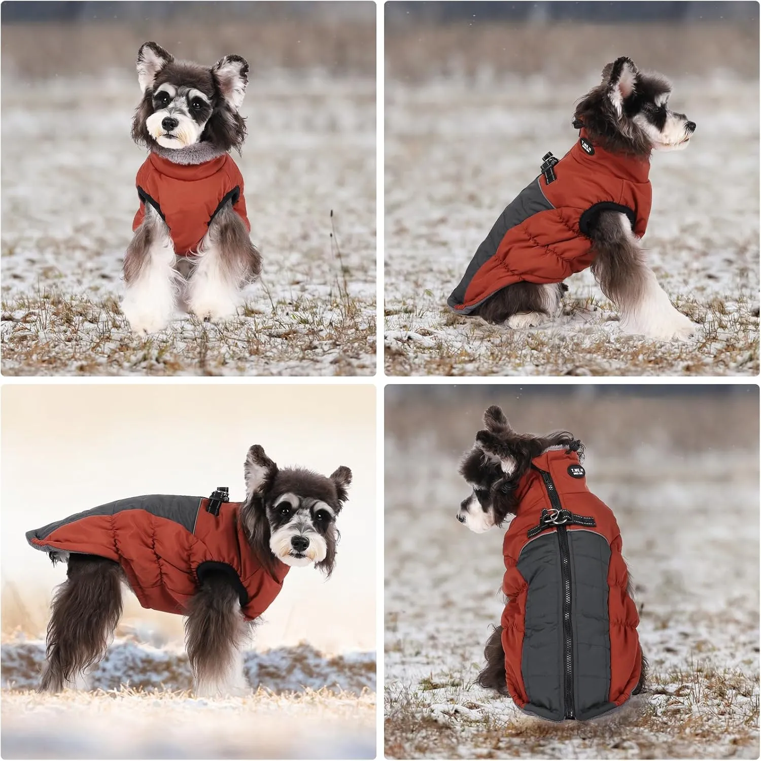 Norbi Winter Coat, Warm Reflective Waterproof Turtleneck Cozy Dog Jacket (Large, Brick Red)