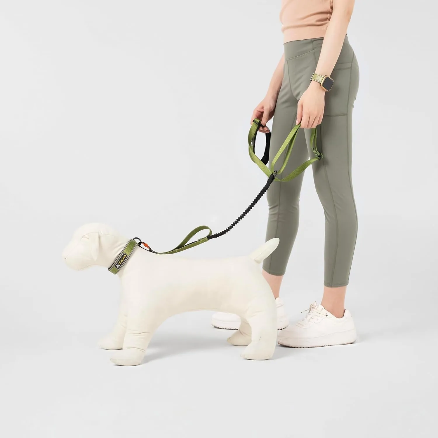 OllyDog Flagstaff Adjustable Spring Leash, Shock Absorbing, Bungee Dog Leash with Carabiner, Hand-Held or Waist-Worn Lead, Convenient for Running, Biking, and Hiking (Cactus Woodgrain)