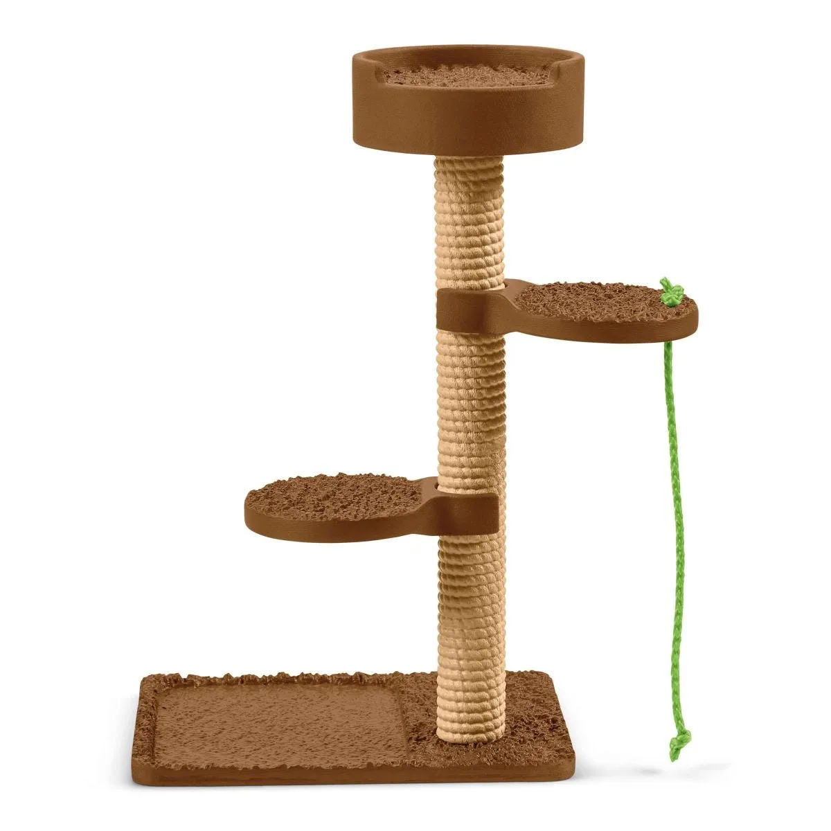 Playtime for cute cats