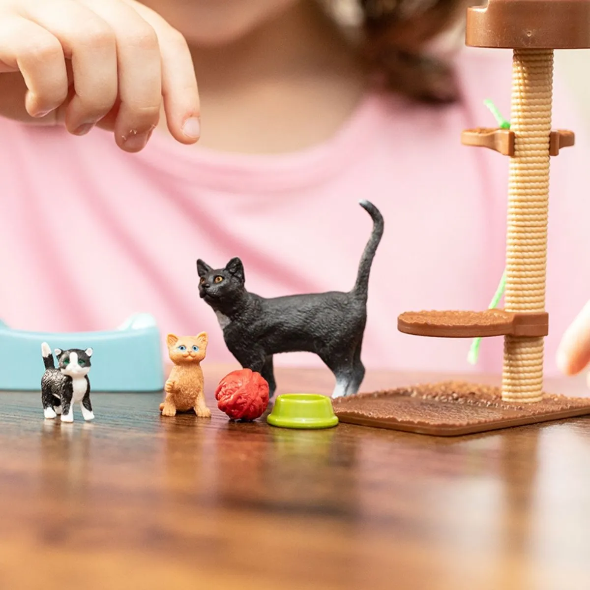 Playtime for cute cats