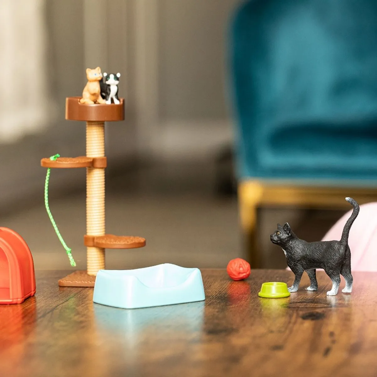 Playtime for cute cats