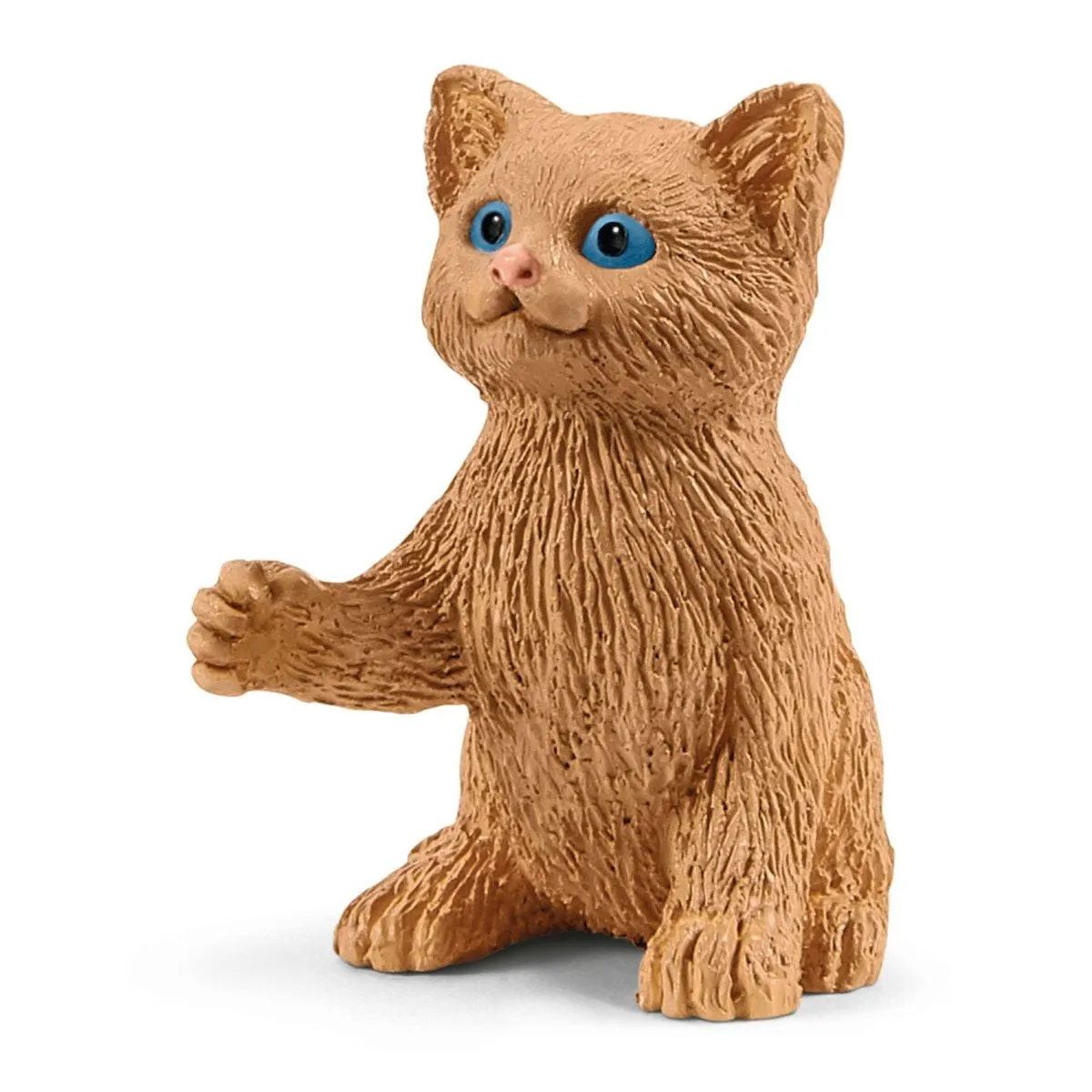 Playtime for cute cats