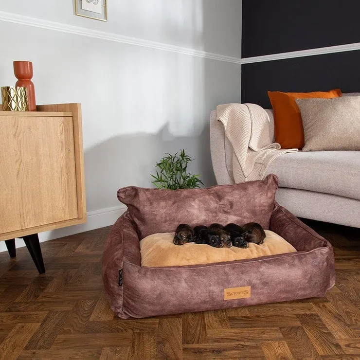 Scruffs Kensington Box Bed - Chocolate