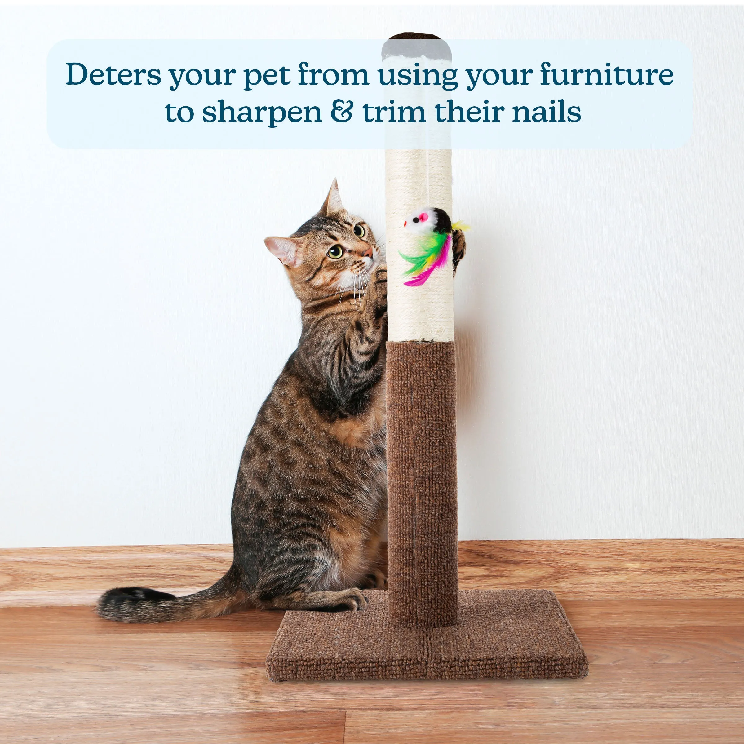 Sisal Fabric Scratcher
