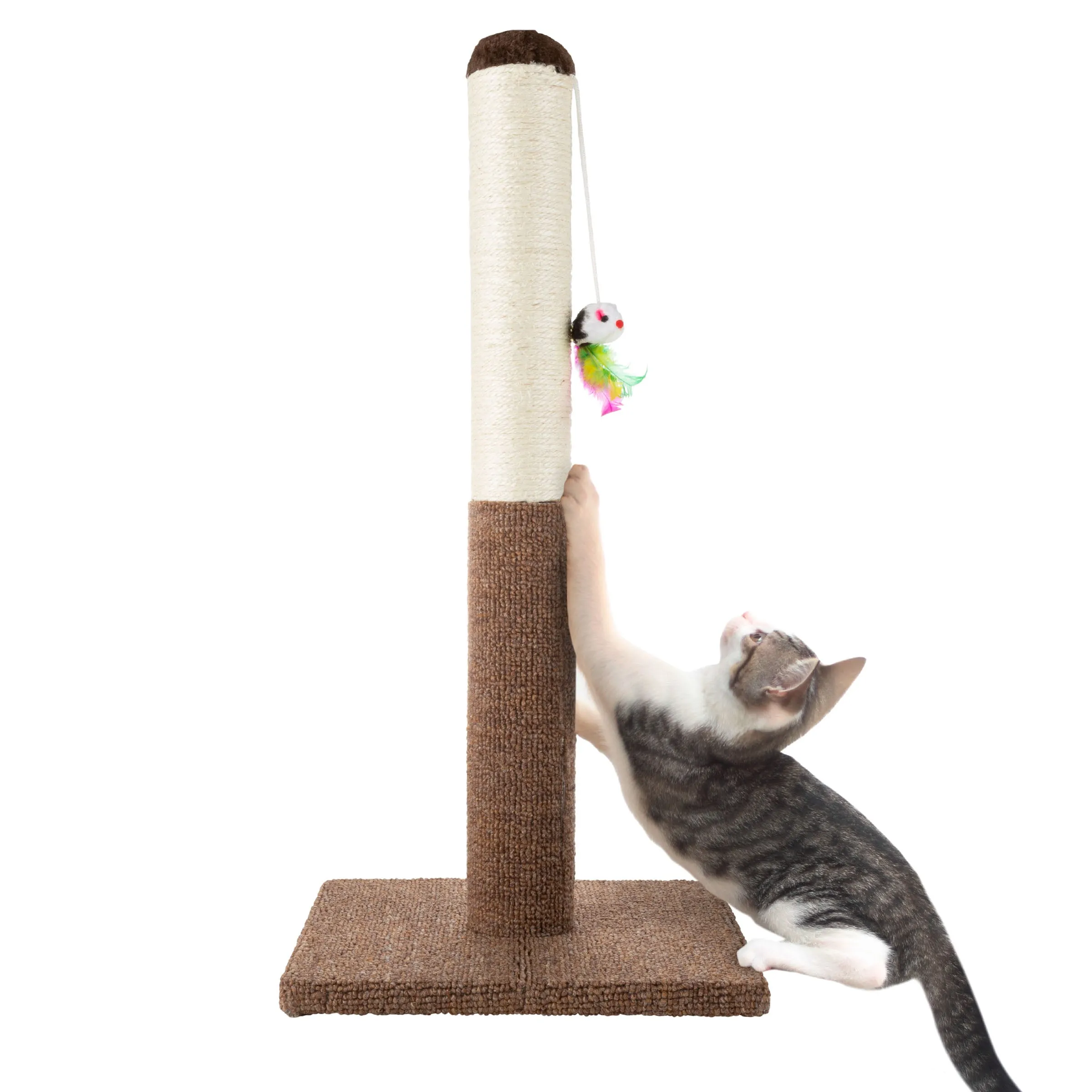 Sisal Fabric Scratcher