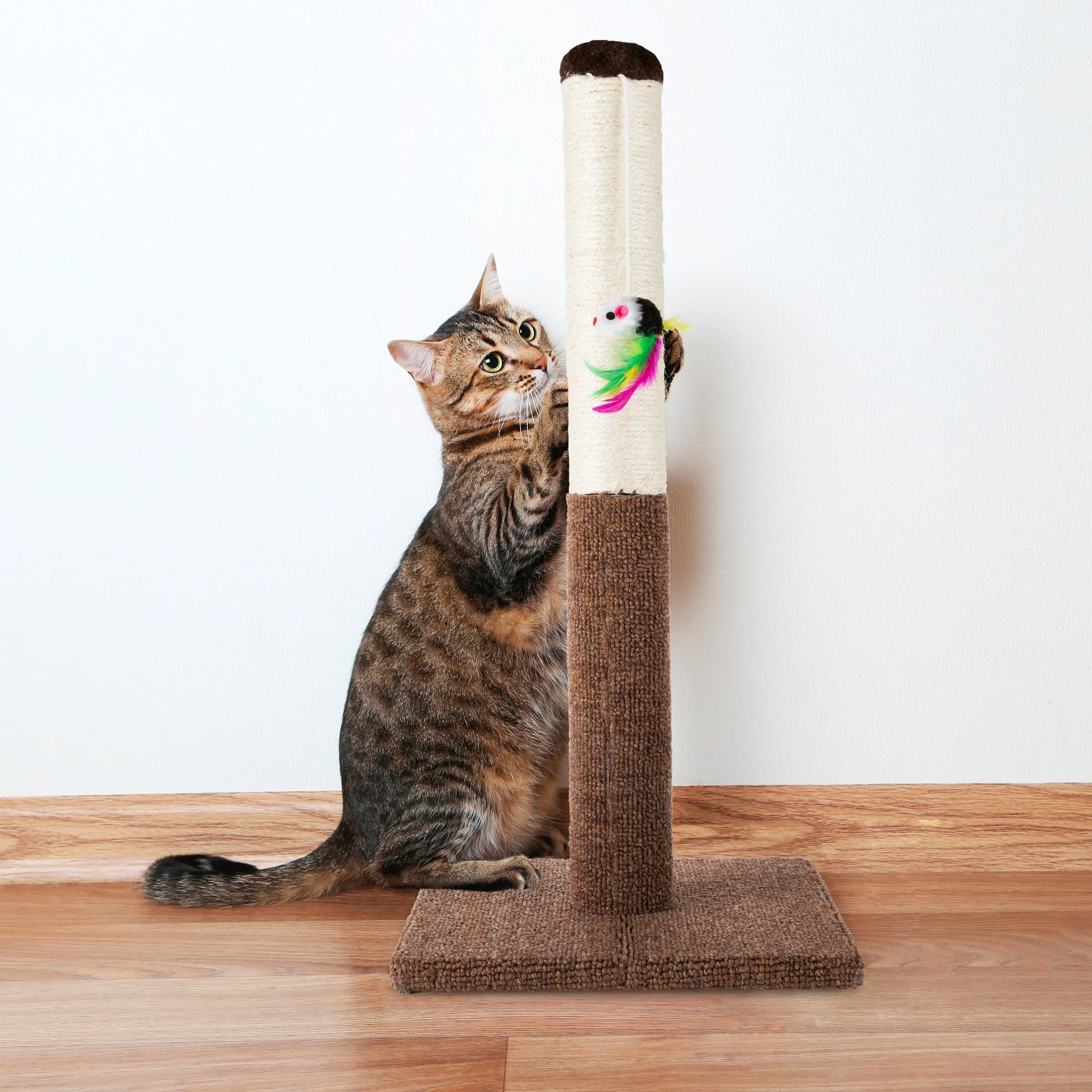 Sisal Fabric Scratcher