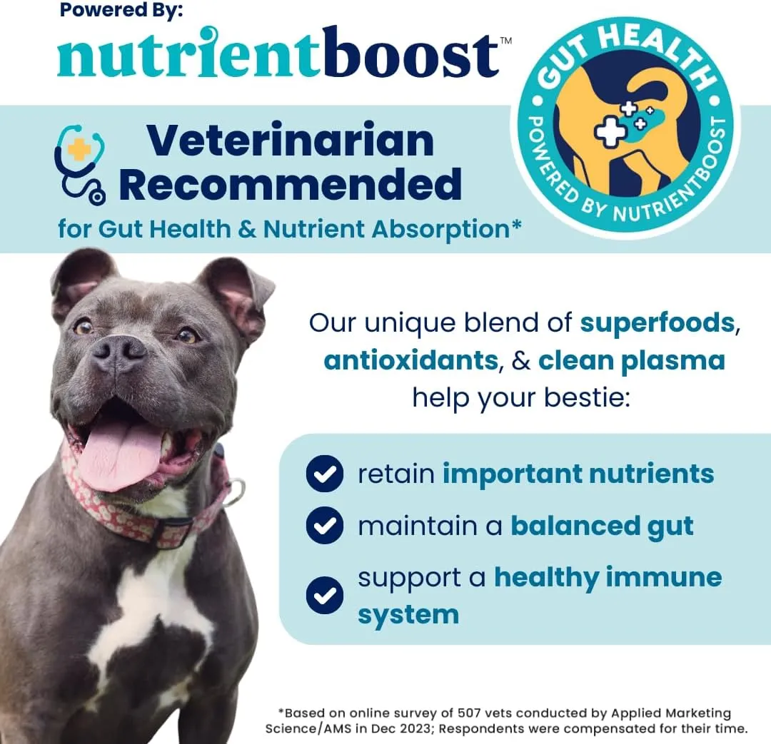 Solid Gold Healthy Dog Treats - Functional Treats for Training   Gut Health - Beef with Salmon Oil Healthy Training Treats for Dogs - 5.2 oz