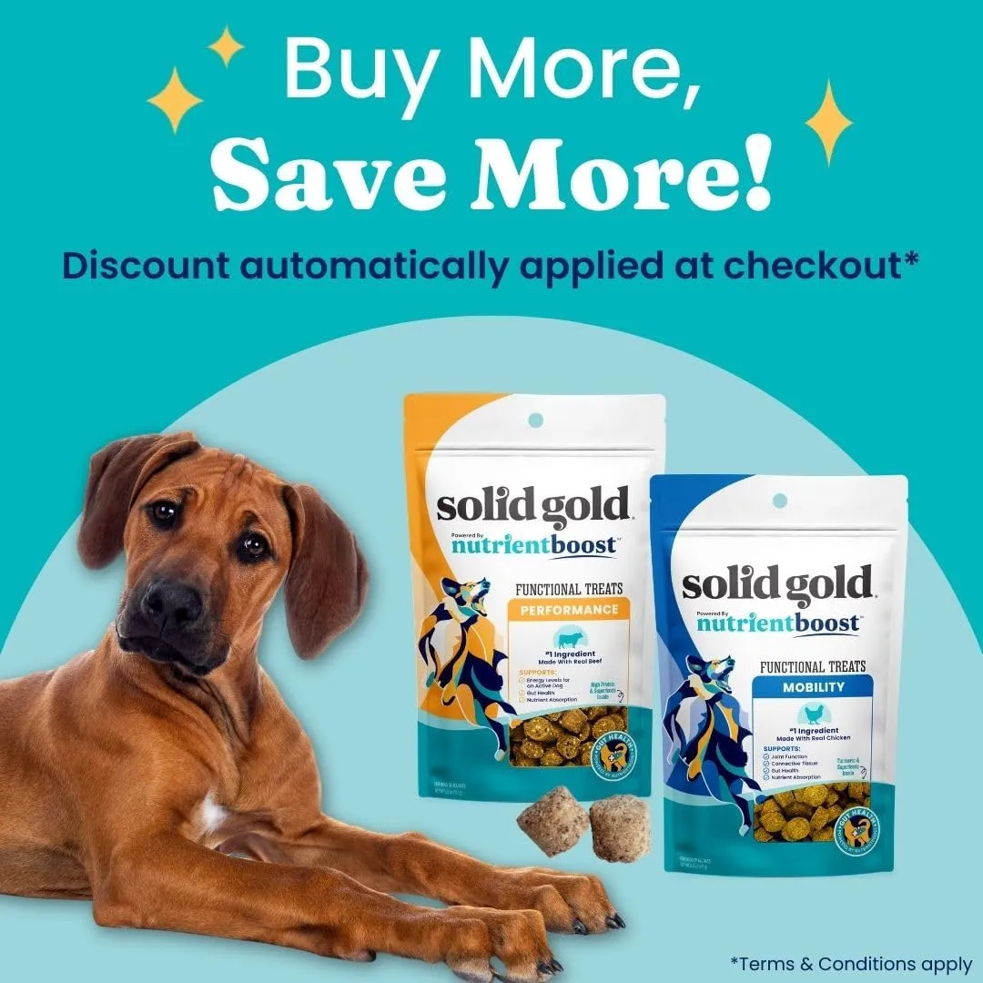 Solid Gold Healthy Dog Treats - Functional Treats for Training   Gut Health - Beef with Salmon Oil Healthy Training Treats for Dogs - 5.2 oz