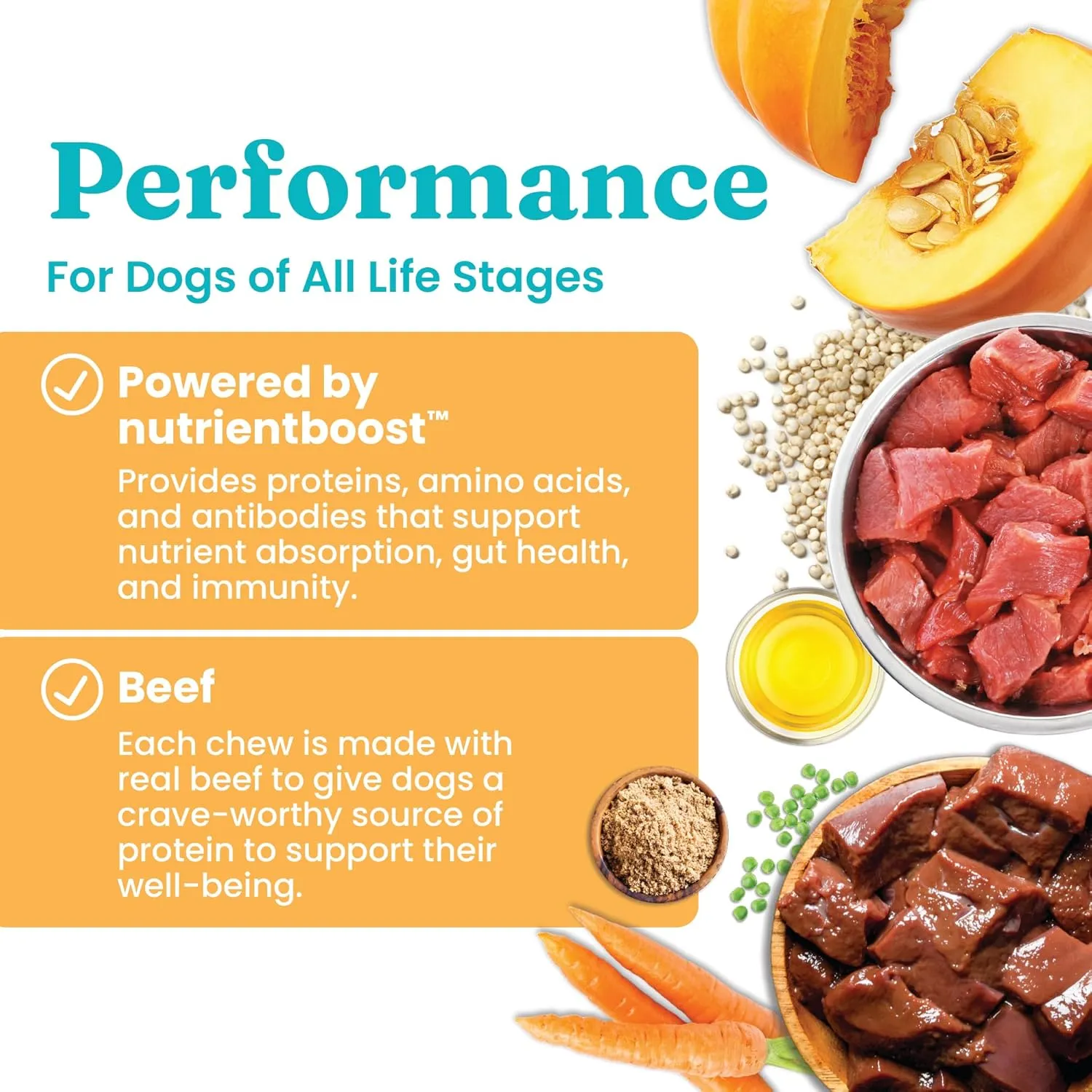 Solid Gold Healthy Dog Treats - Functional Treats for Training   Gut Health - Beef with Salmon Oil Healthy Training Treats for Dogs - 5.2 oz
