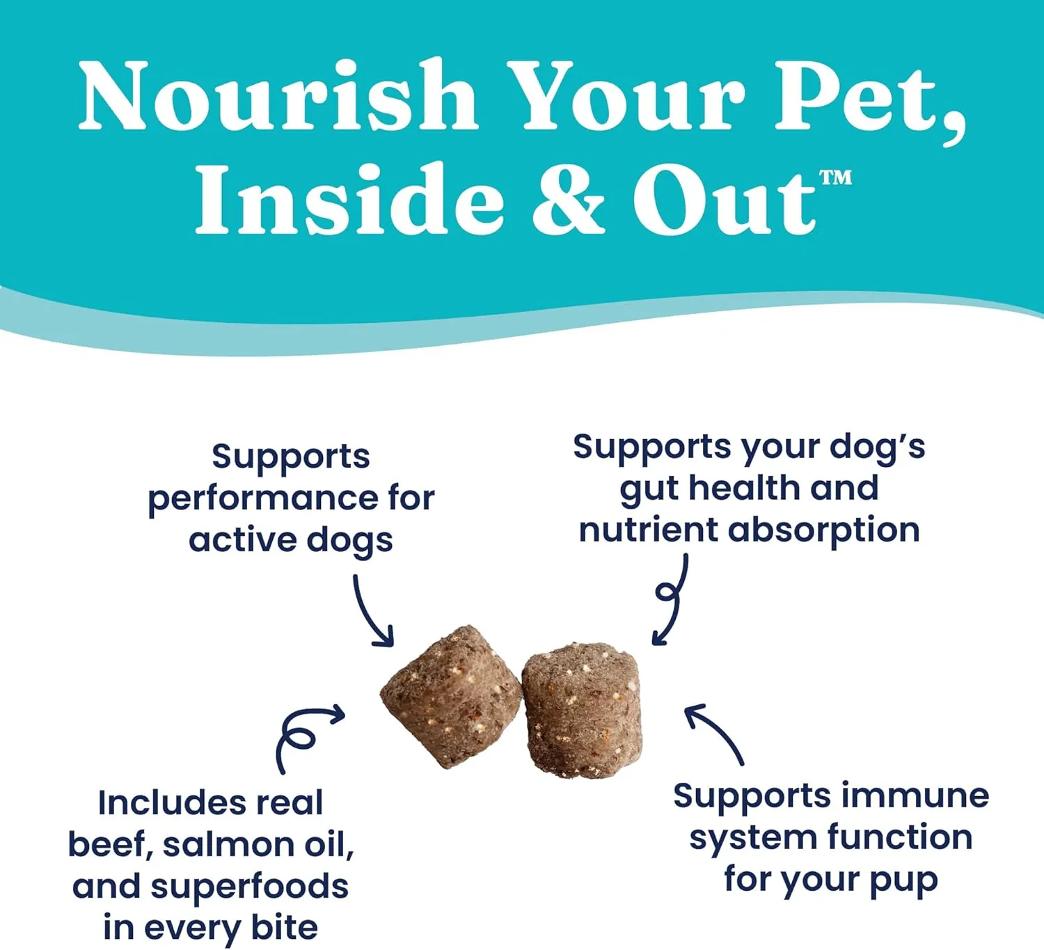 Solid Gold Healthy Dog Treats - Functional Treats for Training   Gut Health - Beef with Salmon Oil Healthy Training Treats for Dogs - 5.2 oz