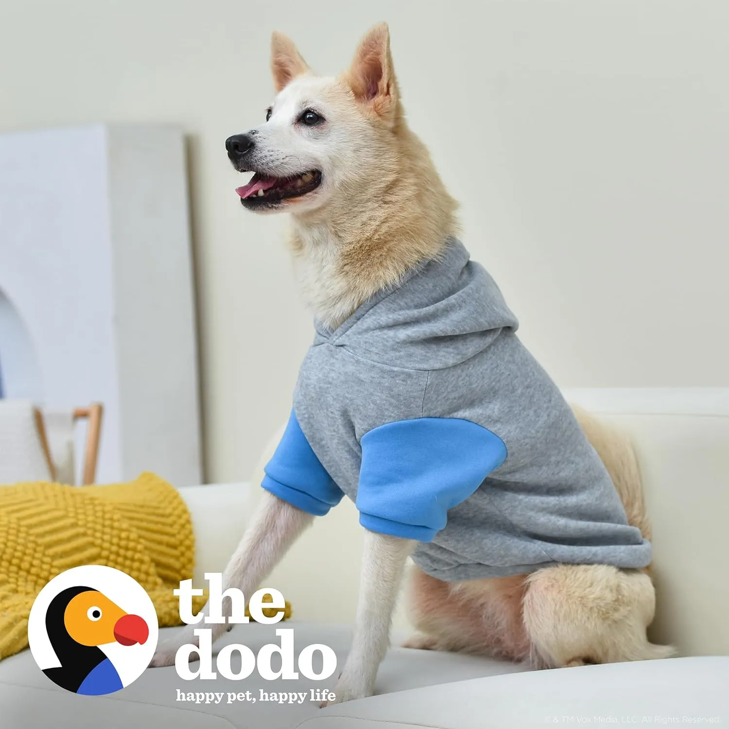The Dodo Grey & Blue Hoodie for Dogs, Size Small; Everyday Apparel for Dogs, Cute Dog Sweatshirt, Cute Clothes for Dogs, The Dodo for Dogs Collection