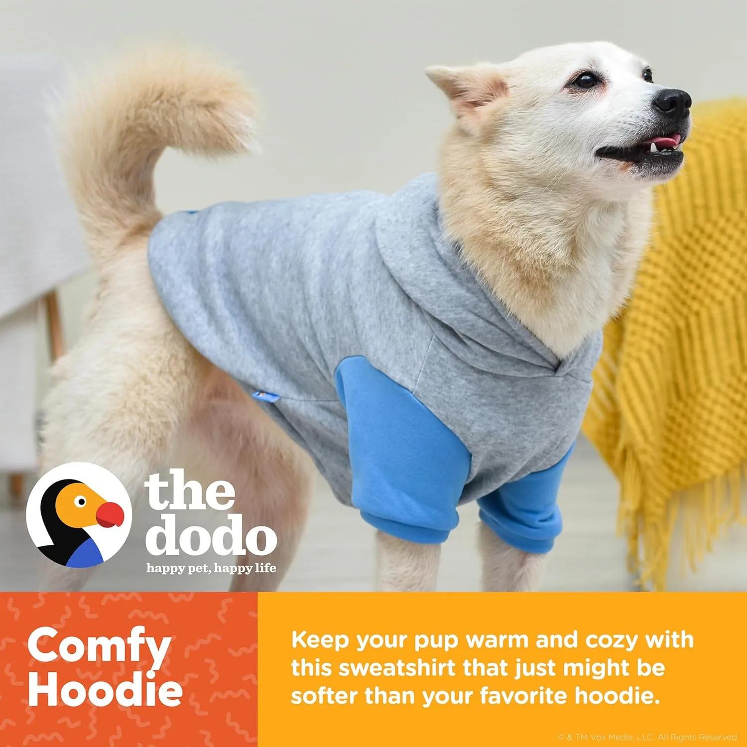The Dodo Grey & Blue Hoodie for Dogs, Size Small; Everyday Apparel for Dogs, Cute Dog Sweatshirt, Cute Clothes for Dogs, The Dodo for Dogs Collection
