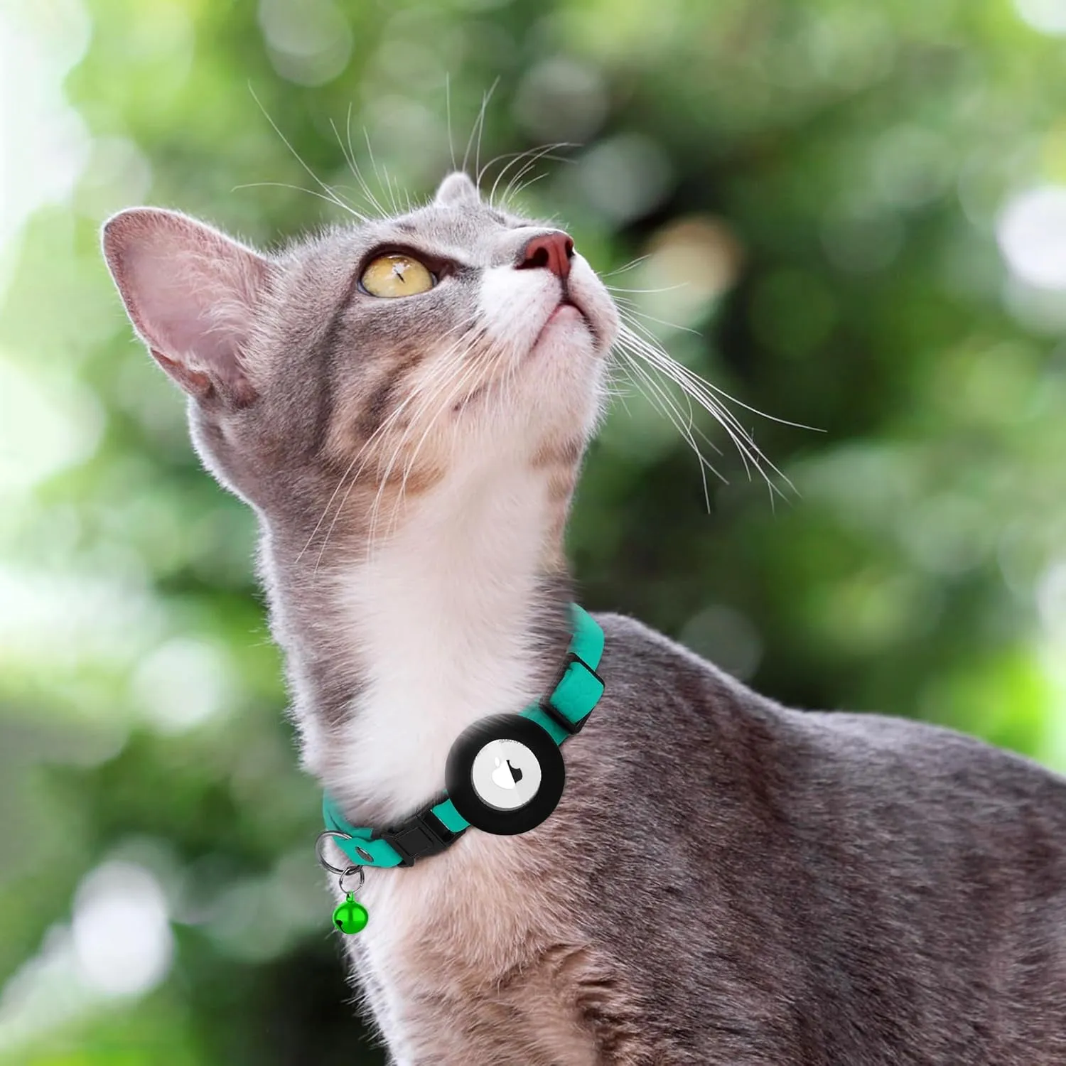 Waterproof Breakaway Cat Collar with Removable Airtag Holder - Cute Safety Apple Airtag Cat Collars with Bell - Lightweight GPS Tracking Pet Collar for Girl Boy Cats Kitten (Teal)